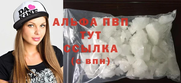 прущие грибы Магадан