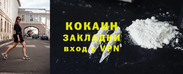 прущие грибы Магадан