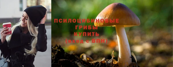 прущие грибы Магадан