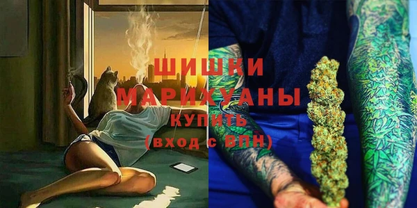 прущие грибы Магадан