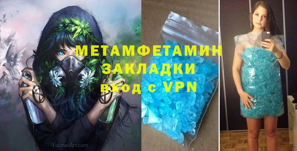 прущие грибы Магадан