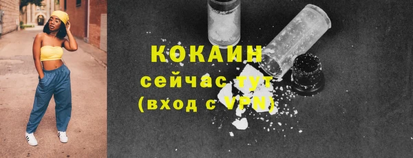 прущие грибы Магадан