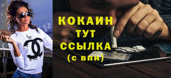 прущие грибы Магадан