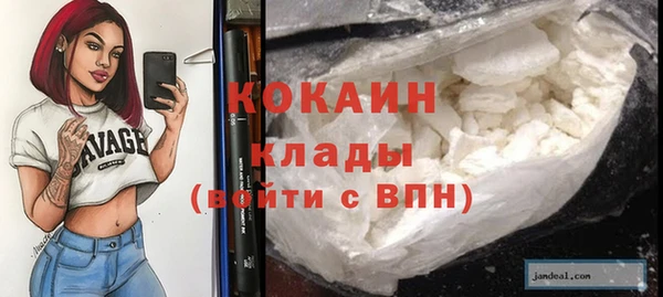 прущие грибы Магадан