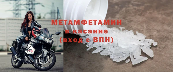 прущие грибы Магадан