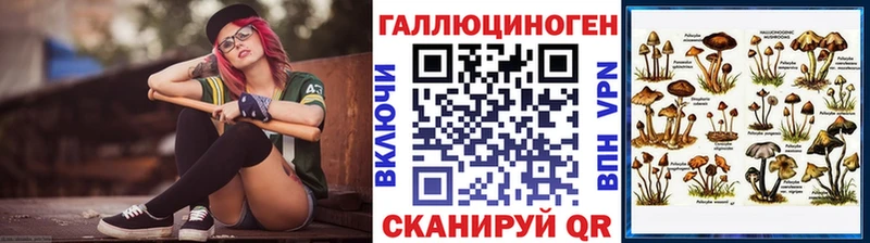 закладка  Первоуральск  Псилоцибиновые грибы Psilocybe 